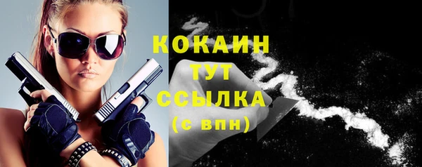 твердый Абаза