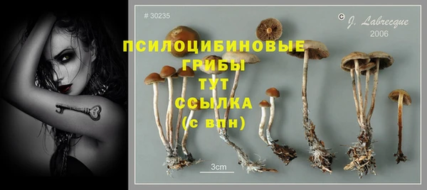 не бодяженный Абдулино
