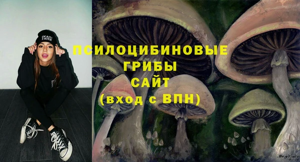 шишки Абинск