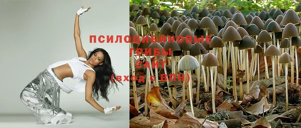 шишки Абинск