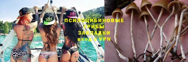 твердый Абаза