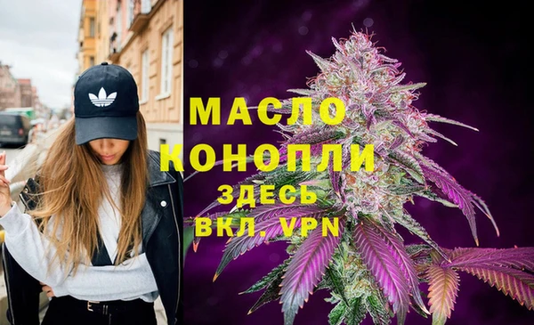 гидра Алексин