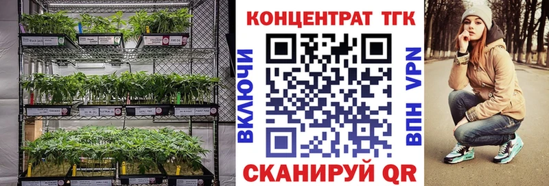 mega ССЫЛКА  Бирюч  ТГК гашишное масло  купить закладку 